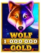 jolly roger slotmafia345 เข้า สู่ ระบบ และเคล็ดลับการเล่น